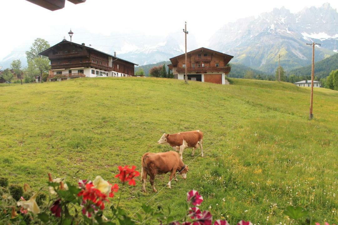 Pension Sunnberg Going am Wilden Kaiser Exterior foto